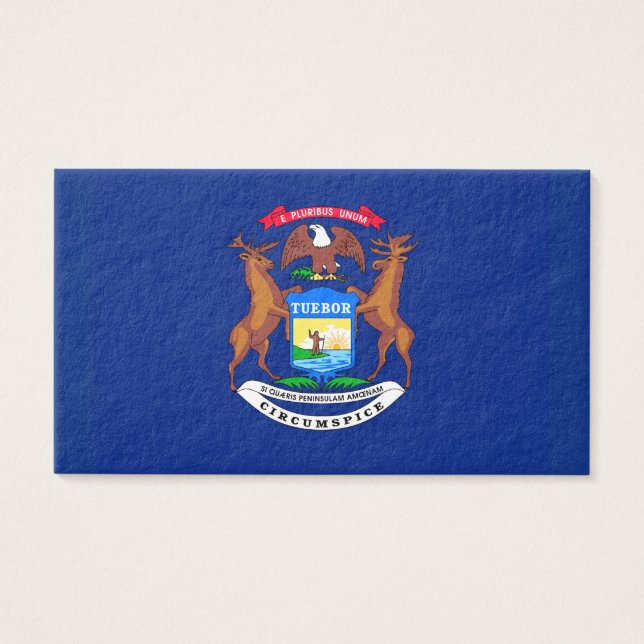 Diseño de la bandera del estado de Michigan (Frente)