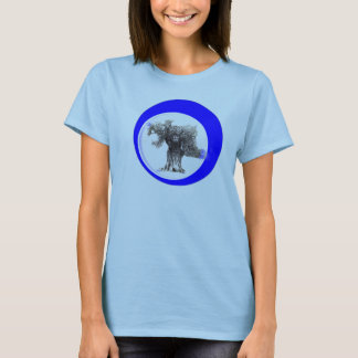 diseño de la camisa del banquero de ben