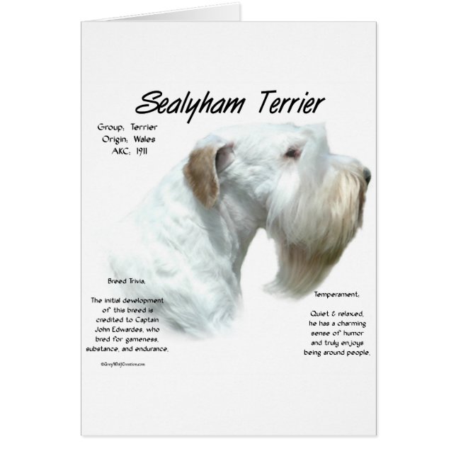 Diseño de la historia de Sealyham Terrier (Frente)
