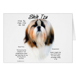 Diseño de la historia de Shih Tzu