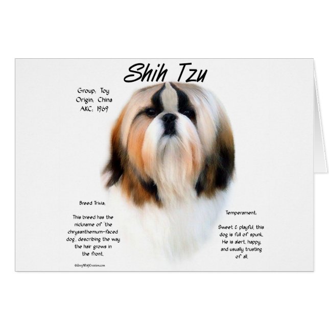 Diseño de la historia de Shih Tzu (Anverso (Horizontal))