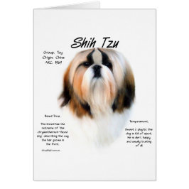 Diseño de la historia de Shih Tzu