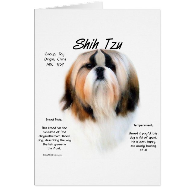 Diseño de la historia de Shih Tzu (Frente)
