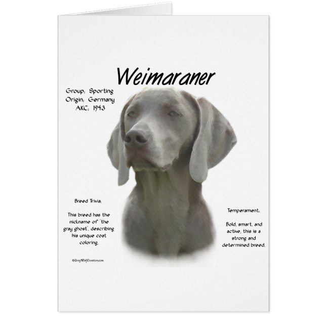 Diseño de la historia de Weimaraner (Frente)