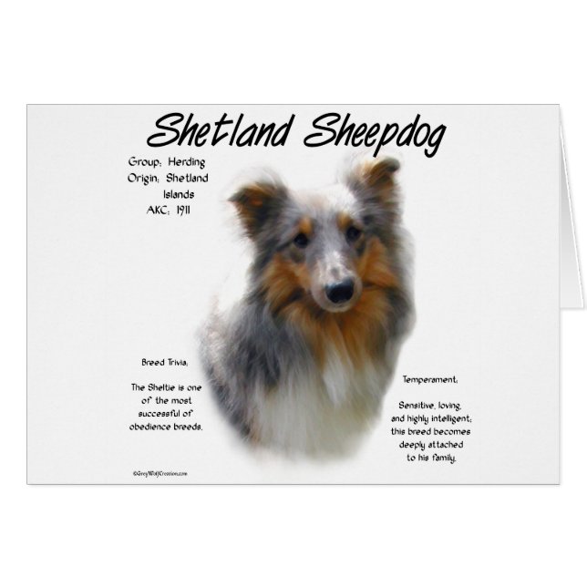 Diseño de la historia del Sheepdog Shetland (Anverso (Horizontal))