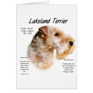 Diseño de la historia del territorio de Lakeland