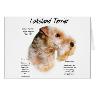 Diseño de la historia del territorio de Lakeland
