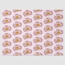 Diseño de la serie Rosa romántica 13 Papel de teji