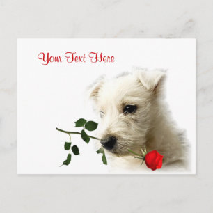 Diseño de la tarjeta del día de San Valentín del