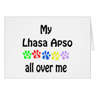 Diseño de las caminatas de los Apso de Lhasa