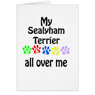 Diseño de las caminatas de Sealyham Terrier