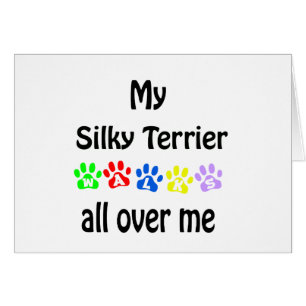 Diseño de las caminatas de Silky Terrier