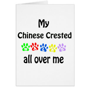 Diseño de las caminatas en la cresta de China