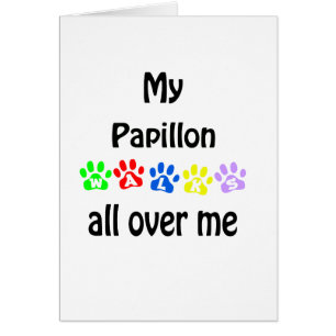 Diseño de las pasarelas de Papillon