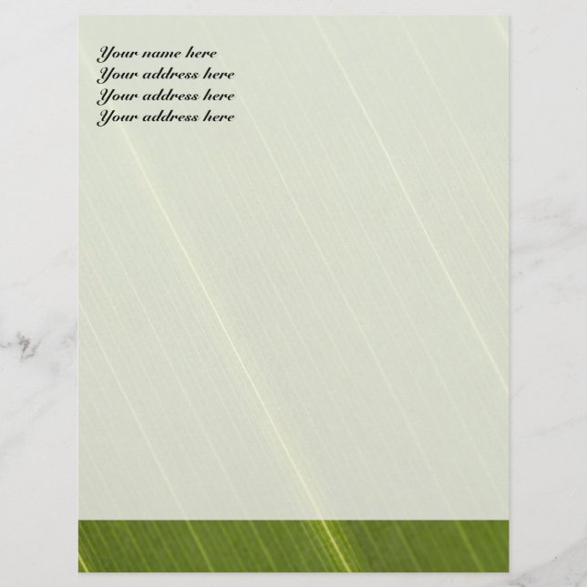 Diseño de membrete de hoja de palmera (Anverso)