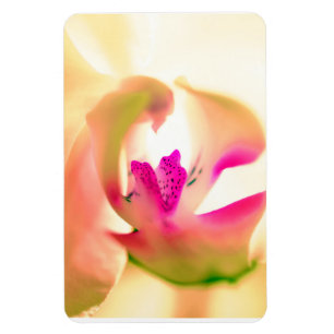 Diseño de orquídeas Imán de fotografía flexible