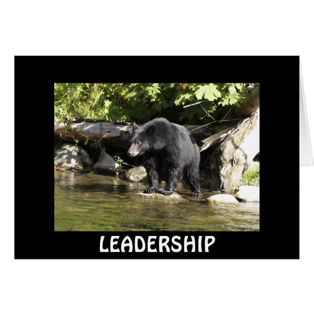 Diseño de oso para partidarios de la vida animal y (Anverso (Horizontal))