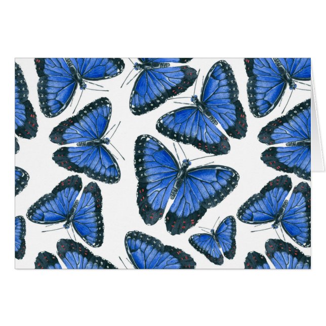 Diseño de patrones de morfo azul de mariposa (Anverso (Horizontal))