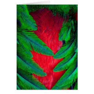 diseño de pluma de Quetzal resplandeciente