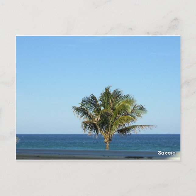 Diseño de postal de horizonte de océano de palmera (Reverso)