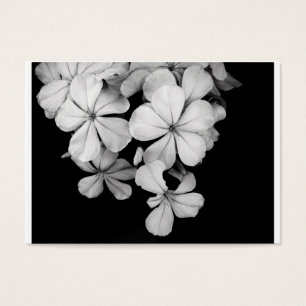 Diseño de postal en blanco y negro