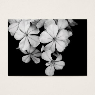 Diseño de postal en blanco y negro