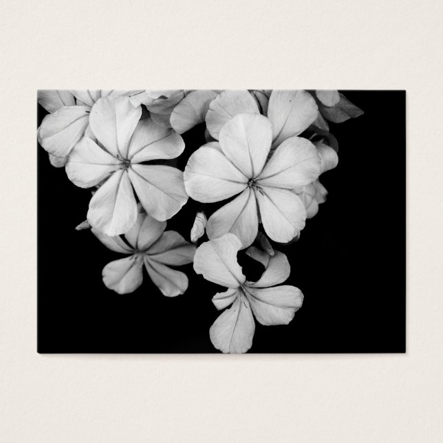 Diseño de postal en blanco y negro (Frente)