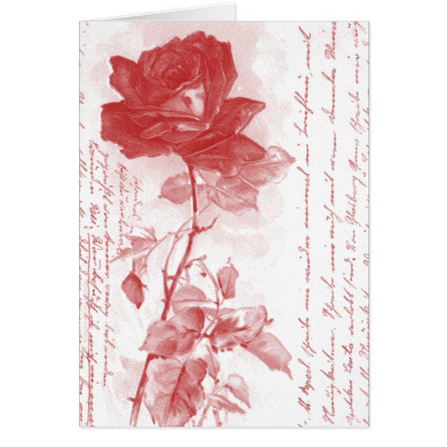 Diseño de postales de la rosa roja (Frente)