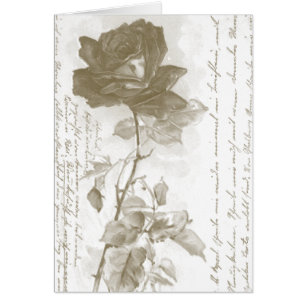 Diseño de postales de Rosa