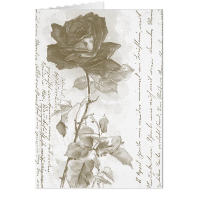 Diseño de postales de Rosa (Frente)