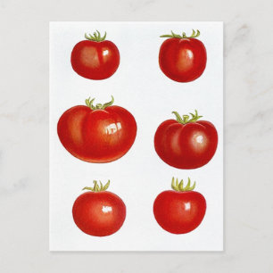 Diseño de postales para tarjetas de recetas para c