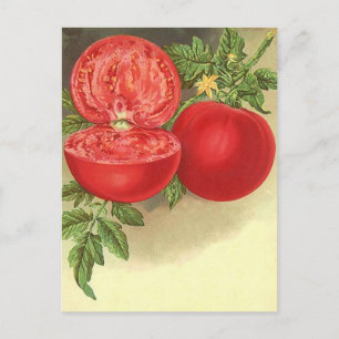 Diseño de postales para tarjetas de recetas para c