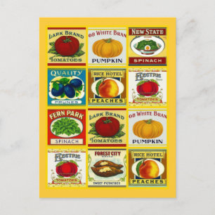 Diseño de postales para tarjetas de recetas para c