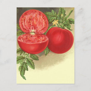 Diseño de postales para tarjetas de recetas para c