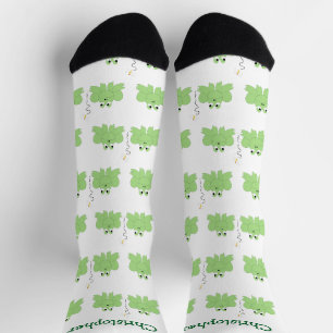 Diseño de Ranas de Calcetines y Libélula