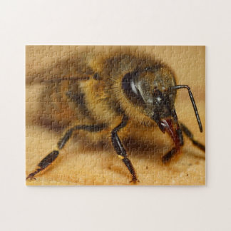 Diseño de rompecabezas de abejas