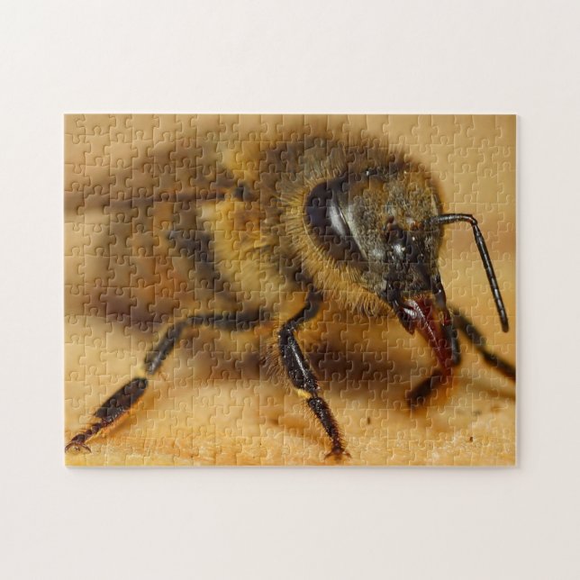 Diseño de rompecabezas de abejas (Horizontal)