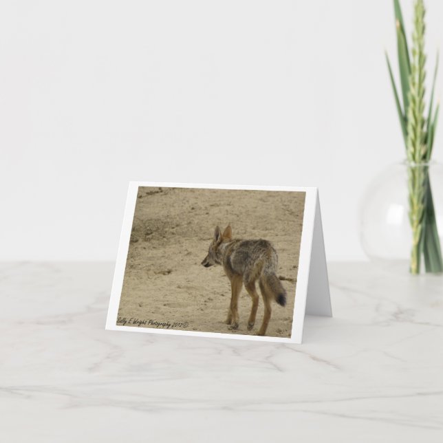 Diseño de tarjeta de nota de la fotografía de la (Anverso)