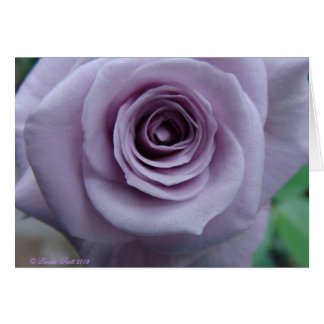 Diseño de tarjeta subió de la plata esterlina