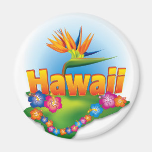 Diseño del imán de Hawaii