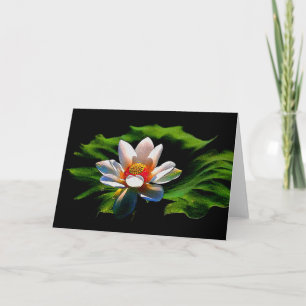 Diseño floral de Lotus toda la tarjeta de