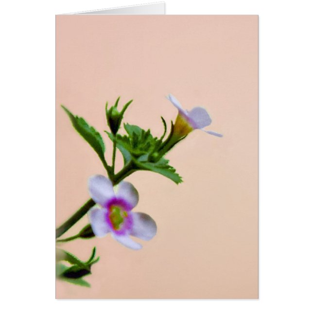 Diseño floral en rosa (Frente)