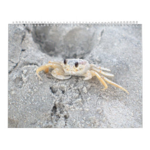 Diseño grande 2 del calendario de pared de la isla