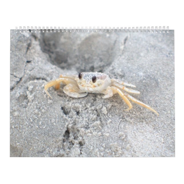 Diseño grande 2 del calendario de pared de la isla (Tapa)