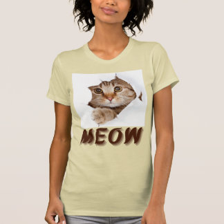 Diseño hermoso de camiseta para gatos