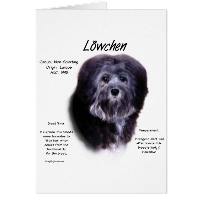 Diseño histórico de Löwchen (Frente)