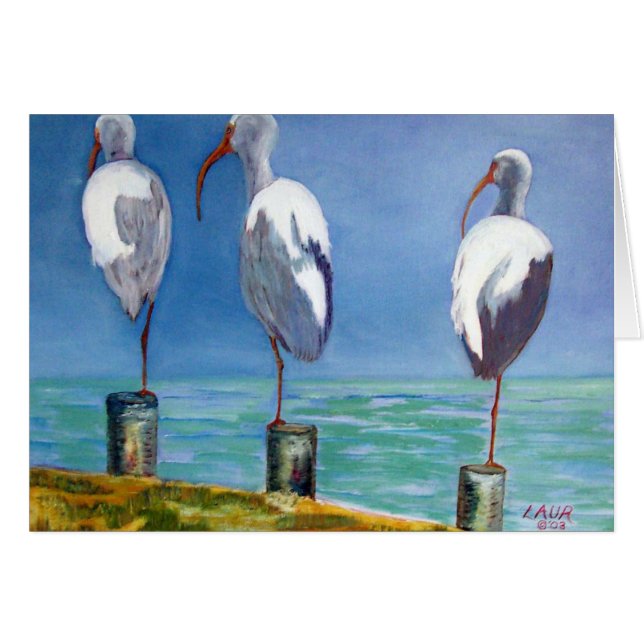 Diseño Ibis (Anverso (Horizontal))