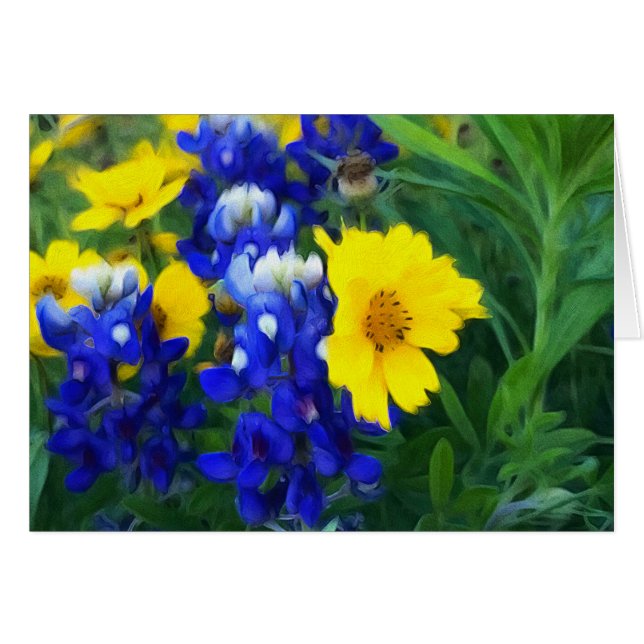 Diseño soñador del Bluebonnet (Anverso (Horizontal))