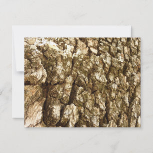 Diseño Texturizado Natural de Corteza de Árbol II