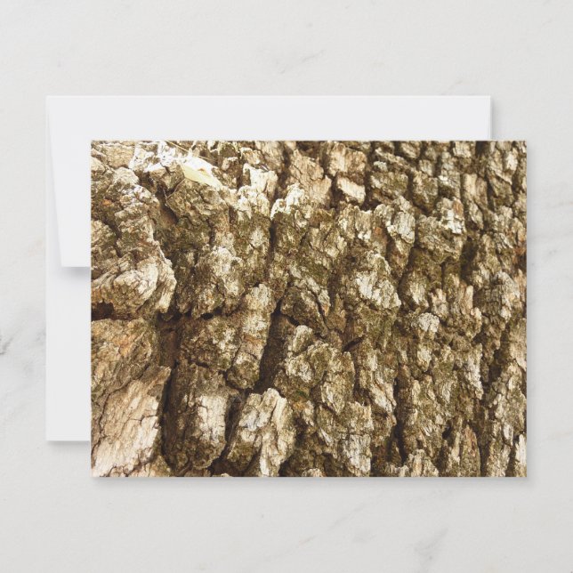 Diseño texturizado natural de la barra de árbol II (Anverso)